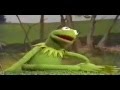 Sesame Street Its Not Easy Being Green