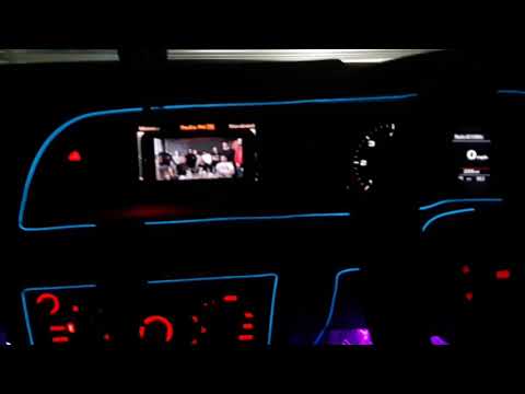 Tarzy - VIAȚĂ PERICULOASĂ