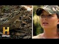 SNAKE JACKPOT Discovered In The Dead Zone Swamp People Serpent Invasion S3
