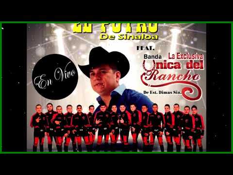 El Potro de Sinaloa Ft. Banda La Exclusiva Unica Del Rancho En Vivo En Tacuichamona 2020