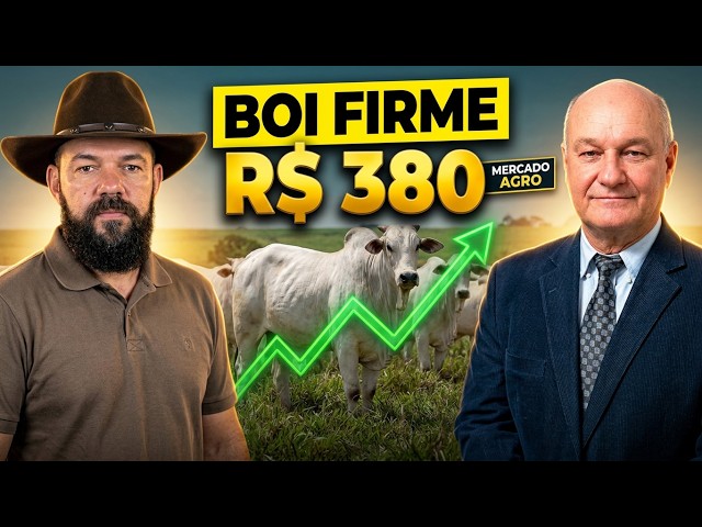 Boi firme a R$380; recorde histórico do frango e ascensão da carne suína com Vlamir Brandalizze