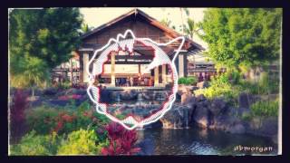 S.F.T - Birds Are Away