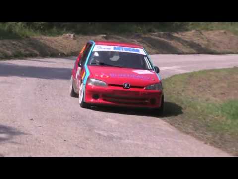 53° Rally del Friuli Venezia Giulia - Alpi Orientali 25-26 Agosto 2017 Gotti-Go!