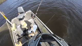 preview picture of video 'Gopro fishing trip'