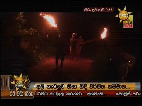 Hiru News 9.55 PM | 2019-11-25
