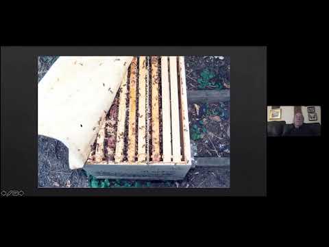 Michael Palmer - Queen Rearing