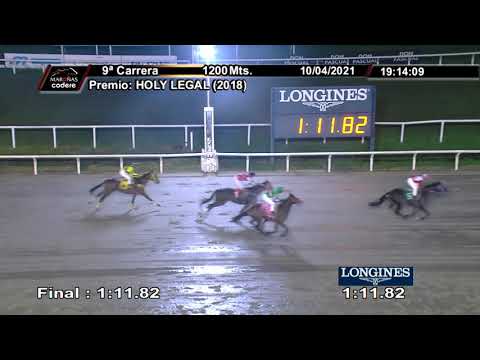 210410 c09 FAMOUS DILL