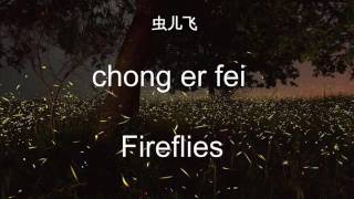 Chong er fei - fireflies (with translation)