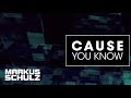 Markus Schulz Feat. Departure - Cause You Know ...