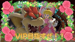 VIP目指すぜ！！　【スマブラsp】