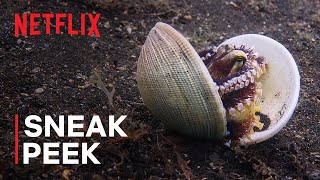 Netflix Our Oceans | Clever Octopus Shoots Fish | Sneak Peek 