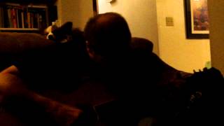 Stranded (The Walkmen) - Cover