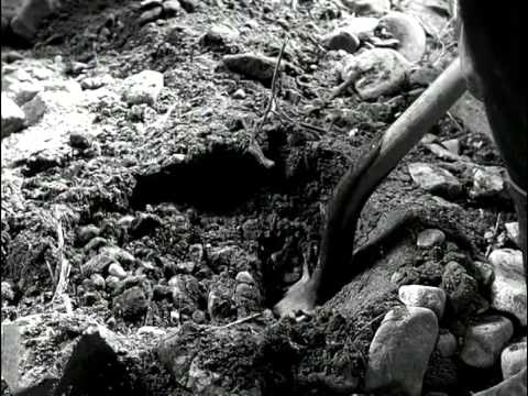 Mackenzie's Raiders Full Episodes 30 - Drought