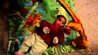 Download the video "MOV05258"