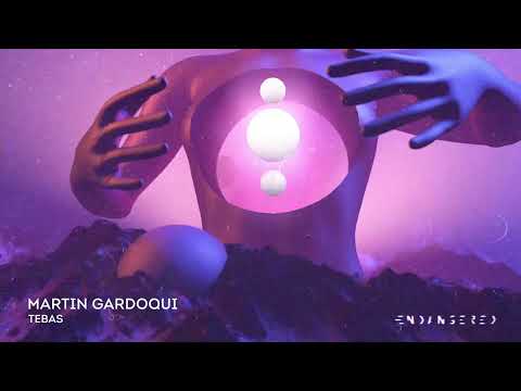 Martin Gardoqui - Tebas