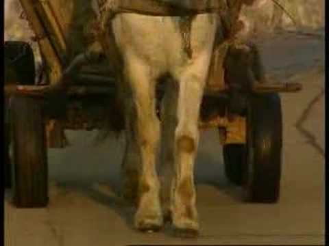 Cyanide River - Hungary