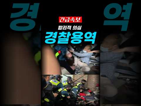경찰용역, 합리적 의심