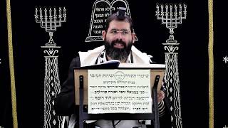 זבחים דף י"ג ע''ב ¤ הרב נתנאל אברז'ל ¤ בית הכנסת "בית מרדכי" (מוסדות תורת דוד) - התמונה מוצגת ישירות מתוך אתר האינטרנט יוטיוב. זכויות היוצרים בתמונה שייכות ליוצרה. קישור קרדיט למקור התוכן נמצא בתוך דף הסרטון