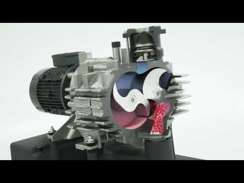 Mink MV Series Claw Vacuum Pumps  Busch Vacuum Pumps and Systems