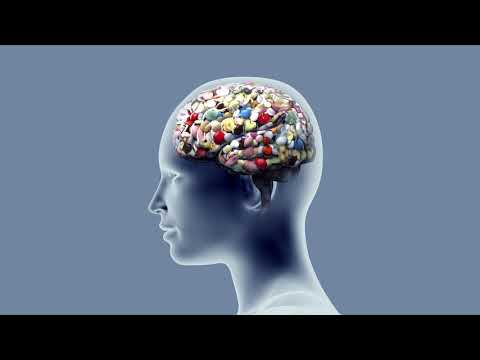 Ep. 24 - Memory and the Neuroscience of Addiction (A Scientist Walks Into A Bar Podcast)