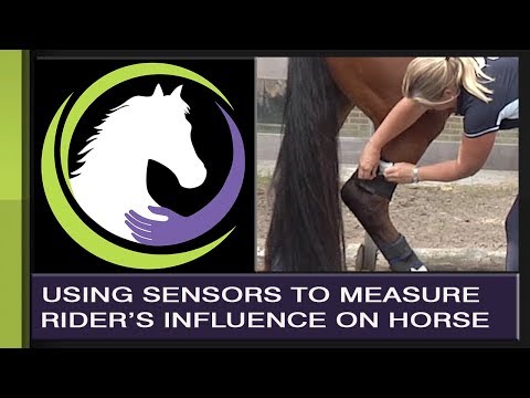 Rider Biomechanics: Using Sensors To See How The Rider Influences The Horse