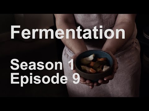 Fermentation by Tartine | THE SCRAPS | Season 1 Episode 9