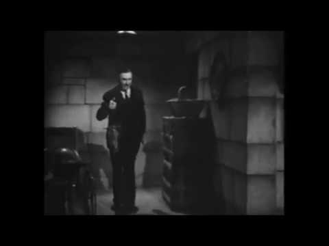 BATSHIT CRAZY - "Bats In The Belfry"
