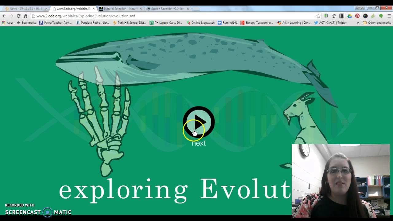 Evolution Webquest Instructions
