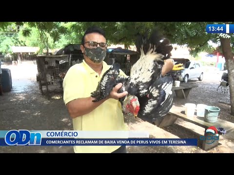 Comerciantes reclamam de baixa venda de perus vivos em Teresina 02 12 2021