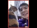 4 Naughty Kung Fu Cats