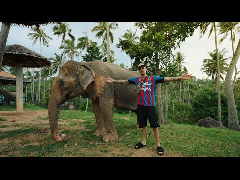 Skinny - Prima Classe (Official Video)