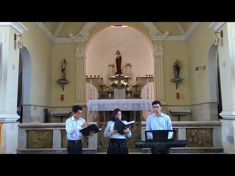 Hino de Santa Teresinha - Católica