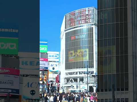 12/11(水)までの期間限定で渋谷に屋外広告が掲載中！📢 #OFFICIALHIGEDANDISM #Official髭男dism #sanitizer