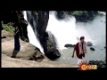 Sevantiye Sevantiye Female - Suryavamsha Kannada hd 720p