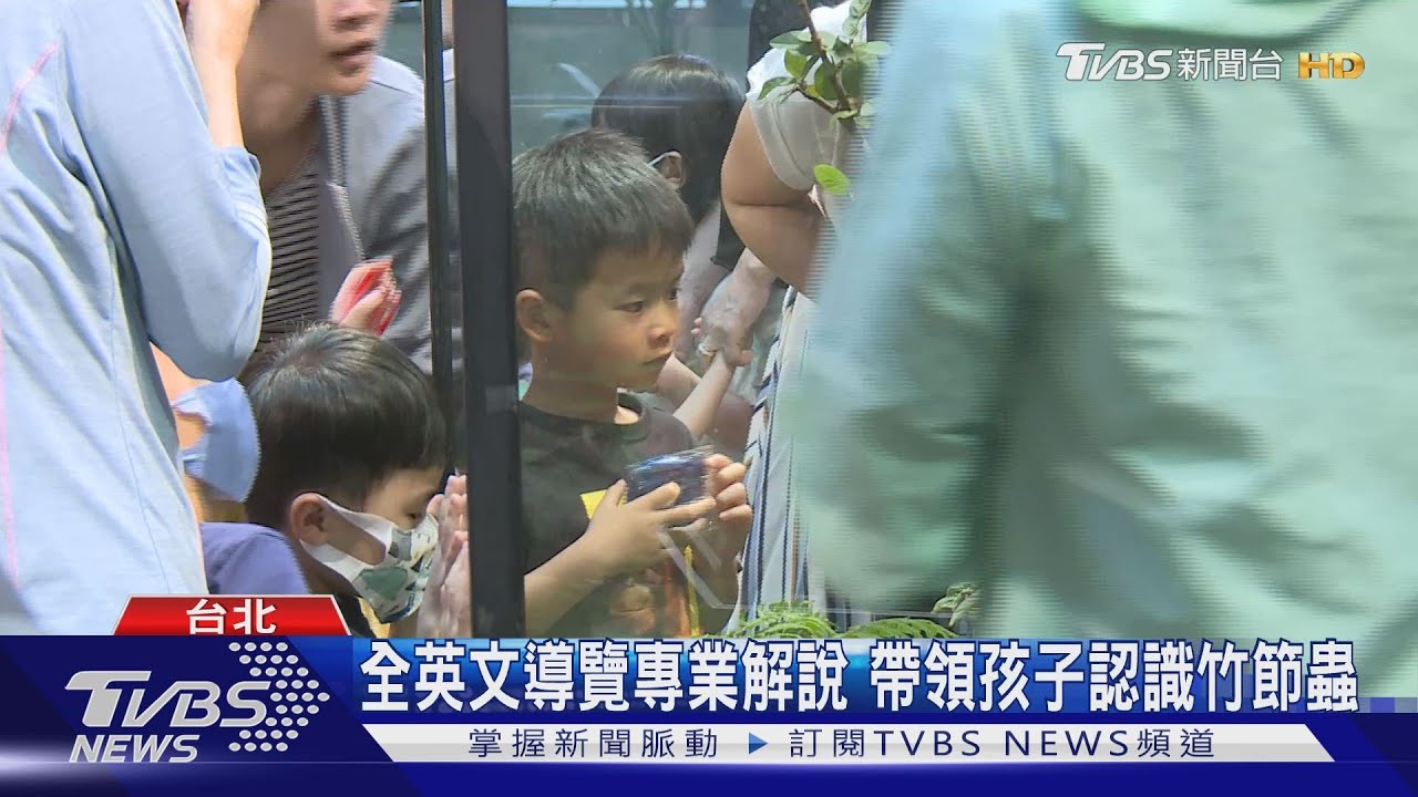 特展匯聚8品種竹節蟲 生態學習向下扎根