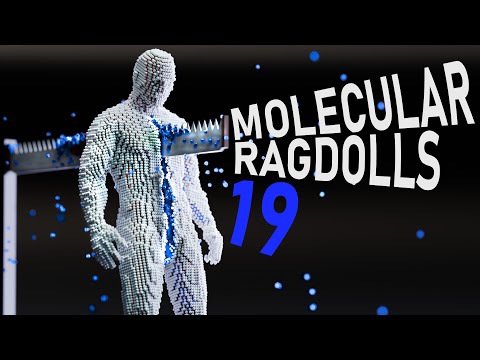 Molecular RAGDOLLS 19 (simulations)