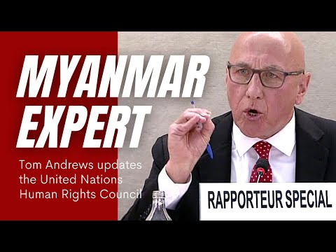 Myanmar Expert Tom Andrews | Statement to the United Nations
