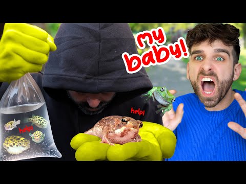 A Stalker STOLE My Baby Frogs & Pet Fish… (THEY’RE MISSING and SCARED!)