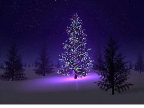 Michal Chrenko Xmas song