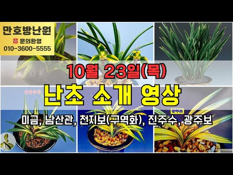 유튜브 썸네일