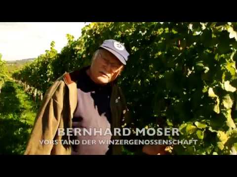 WEINLESE 2016 IN NEUWEIER