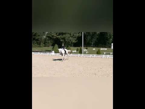 TdJ Dielsdorf 30.6.19 - Die Fuhrhalterei