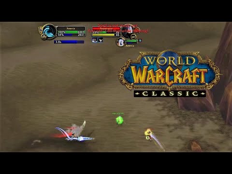 THIS IS WHY I LOVE DRUID | WoW Classic PvP