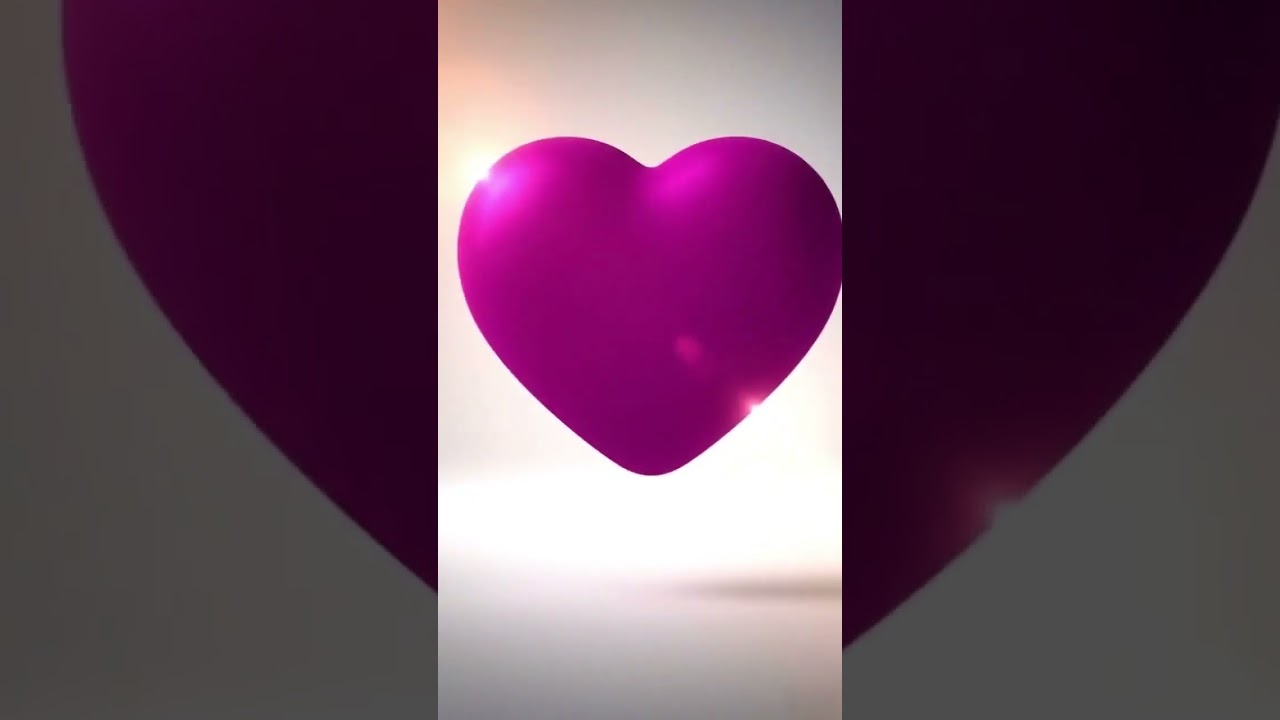 Cachorro raça Chow Chow idade 2 a 6 meses nome jeff