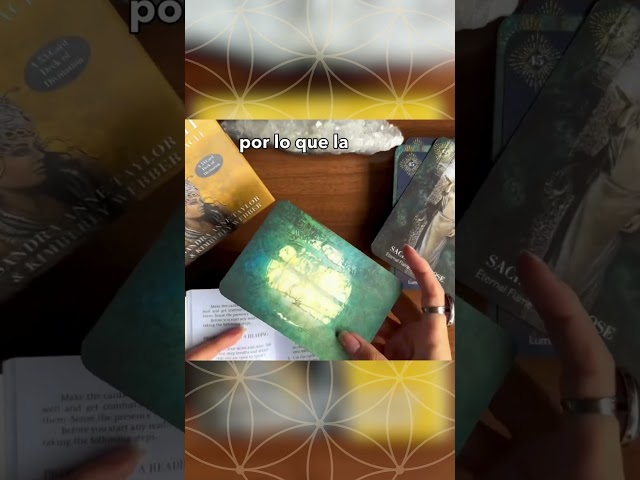 Vídeo relacionado con TOLIDA Caja de Tarjetas de Tarot de Piel Sintética - Funda Protectora Universal Para Tarjetas de Tamaño Estándar - Organizador Diario de Oracle, Caja de Almacenamiento
