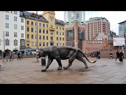 Oslo - Tiger city