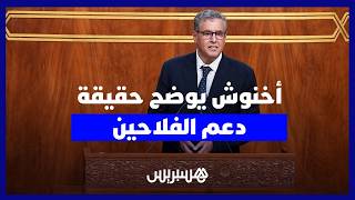 أخنوش.. كان ضروريا  تقديم دعم  للفلاحين لمواجهة تداعيات توالي سنوات الجفاف التي كانت تهدد القطيع thumbnail