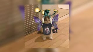 Cover art for nymtholgy