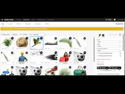 Item video thumbnail