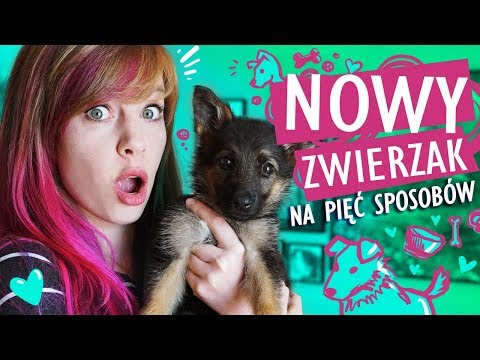 , title : 'Rysuję SZCZENIAKA na 5 sposobów 🐶 Mam nowego psa?'